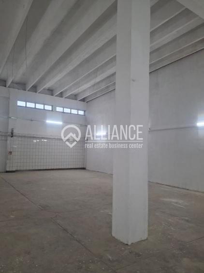 ZONA INDUSTRIALA (COD04)-Hala 270 mp ideal service auto - 6