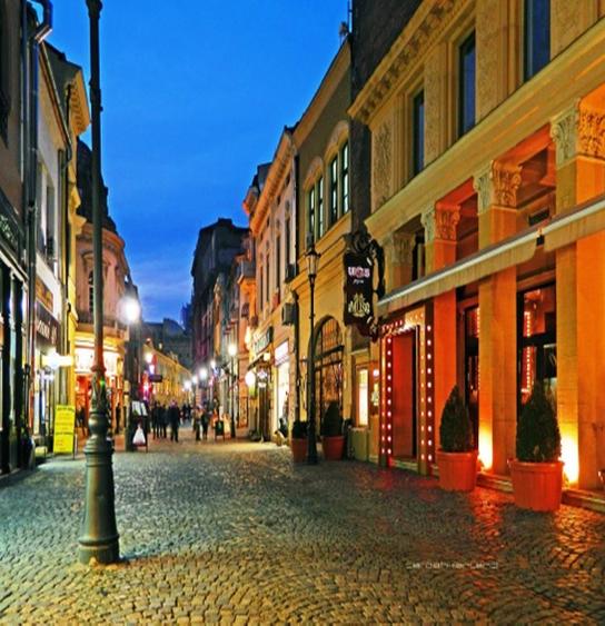 Centrul Istoric, cladire comerciala 448 mp, de vanzare - 1