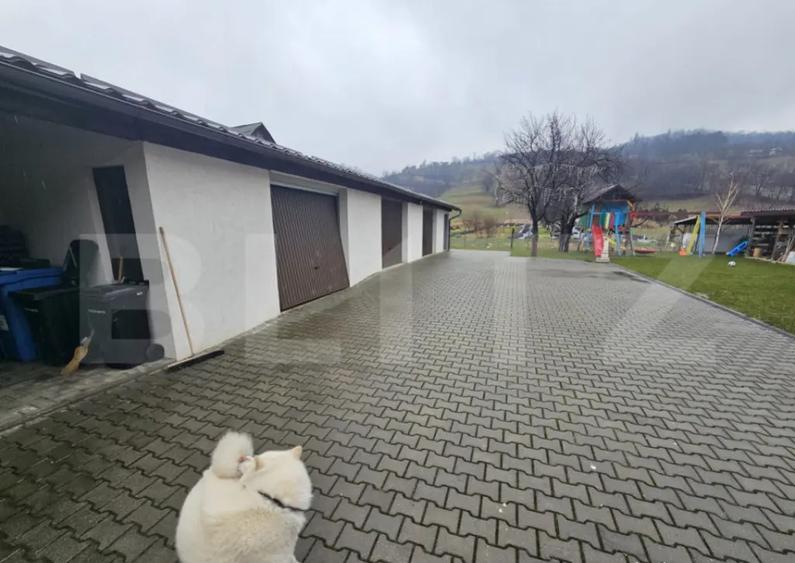 2 Case deosebite de vanzare - Zona Rebrisoara - 8