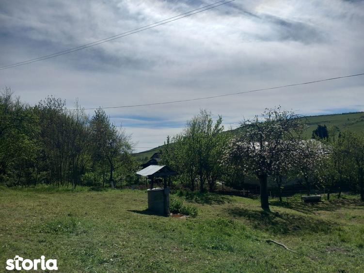 Teren spectaculos ,Porumbeni12.822 ha, livada,case ?i panorama superba - 5