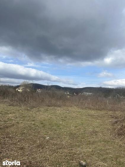 BANESTI - teren intravilan - 1035mp - 50 Euro/mp - 3