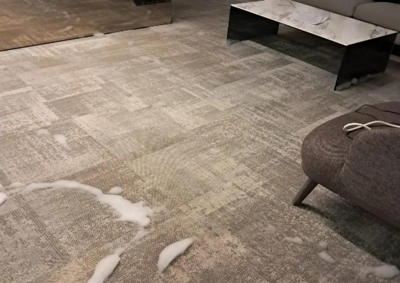 Casa de vanzare Pitesti - 4