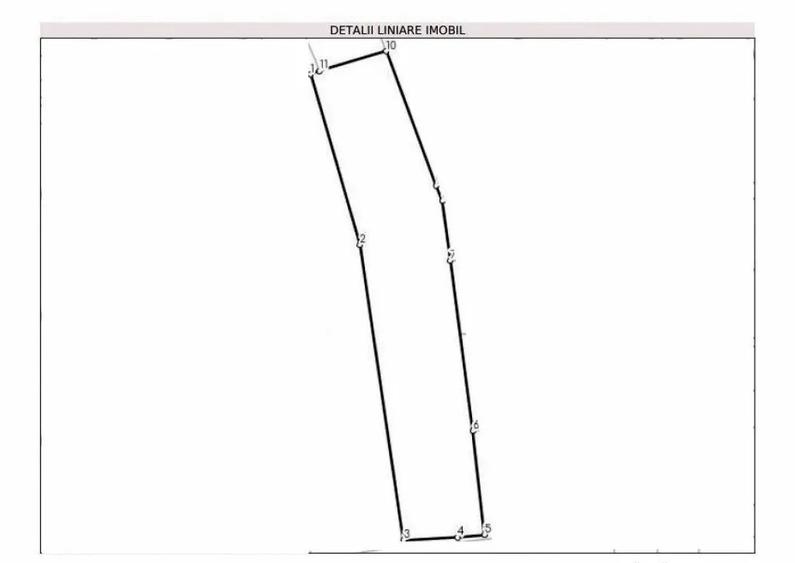 Teren intravilan parcelabil, 6000 mp in Salicea - 1