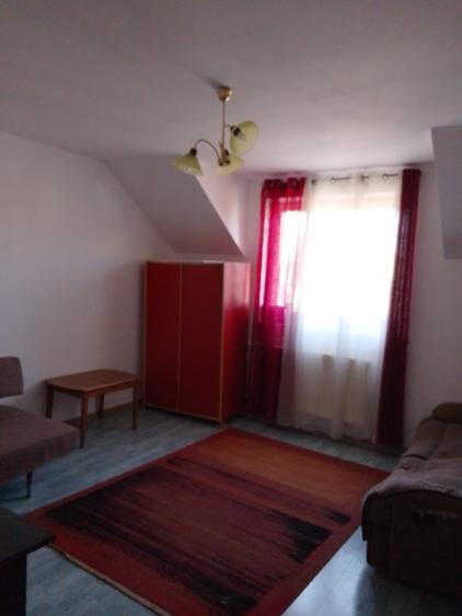 Damaroaia, strada linistita, P+1,necesita renovare, teren 370mp - 6