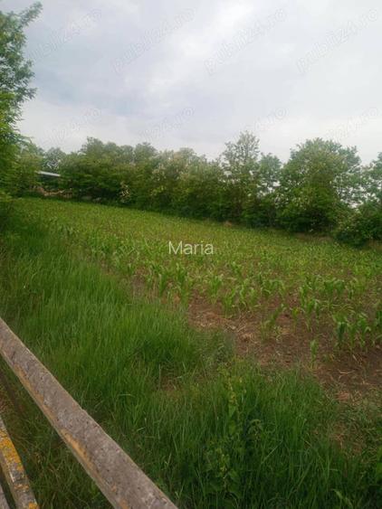 Casa si teren intravilan 2800 mp in Vladeni, langa Dorohoi (Corlateni), Botosani