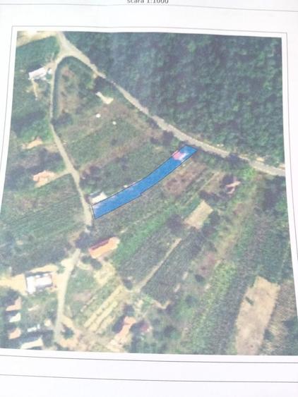 Vand casa de vacanta cu vie - 2