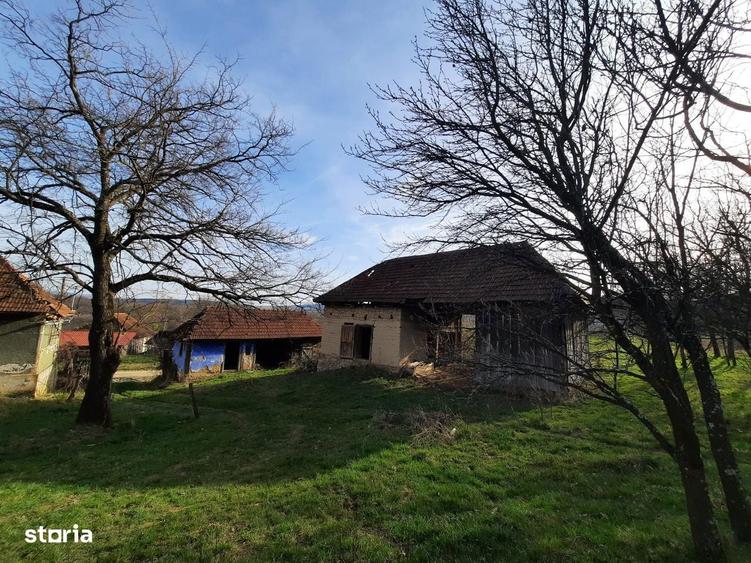 Fizes (Sag, Salaj) - 17.800mp teren intravilan + extravilan cu CF, PF - 1