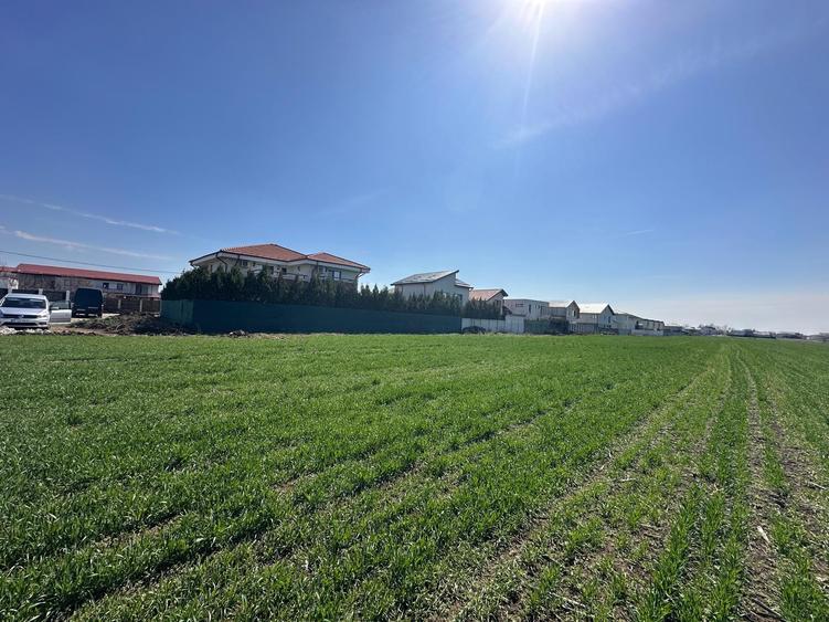 Teren de vânzare – Otopeni, Zona Nouă a Orașului 23213mp - 5