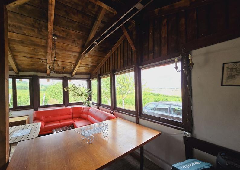 Vie Tradi?ionala Halta Lupilor - 6