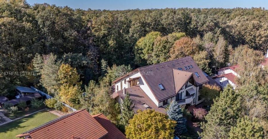 Promotie - vila langa padure cu piscina-Paradisul Verde - 6