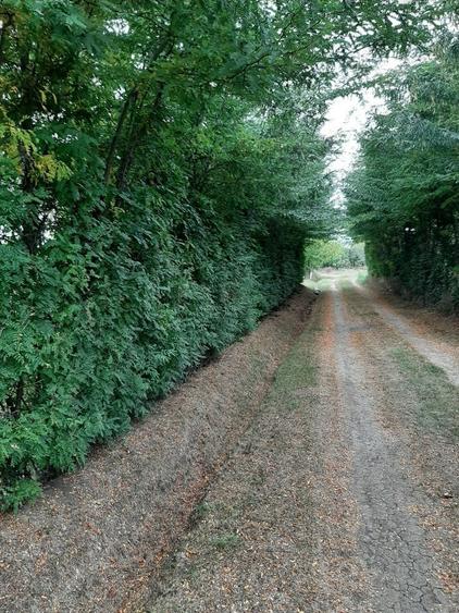 Teren str Casa Apelor - 1