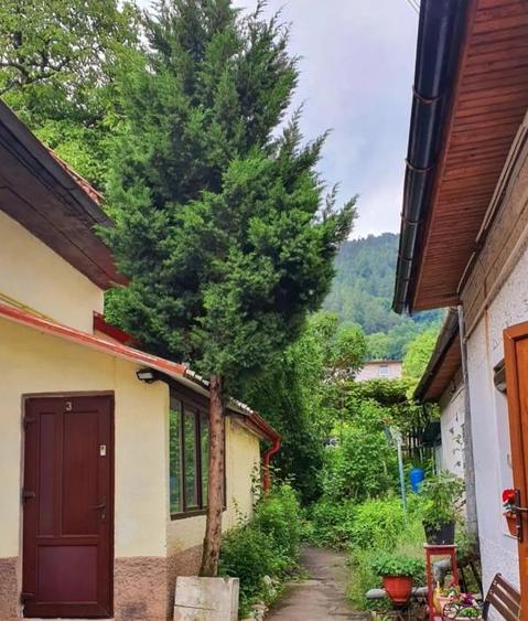 Apartament cu 2 camere la casa situat in Centrul Istoric - 6