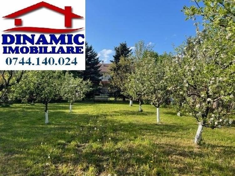 Casă, zona Dedeman, 3.433 mp teren. Preț 275.000 Eur - 18