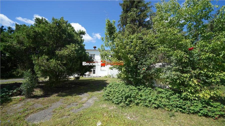 OPORTUNITATE INVESTITIONALA | HALA VASCAU - 12