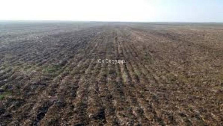 6 ha teren agricol la Radomiresti judetul Olt 6 ha teren agricol la Radomiresti judetul Olt