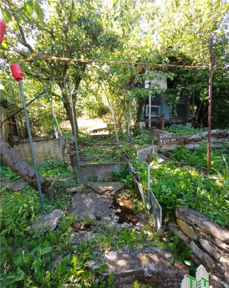 Casa, gradina si curte intr - un peisaj de poveste, aici in - 19