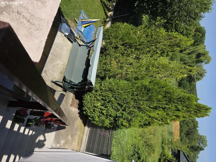 SCHIMB !!Zona mirifica ! apropiere lacul si padurea Snagov respectiv la aprox. 60 de m si 300 m! - 4