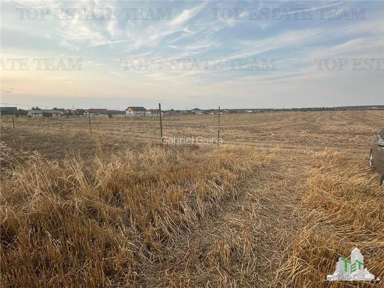 TEREN 2500MP BALACEANCA