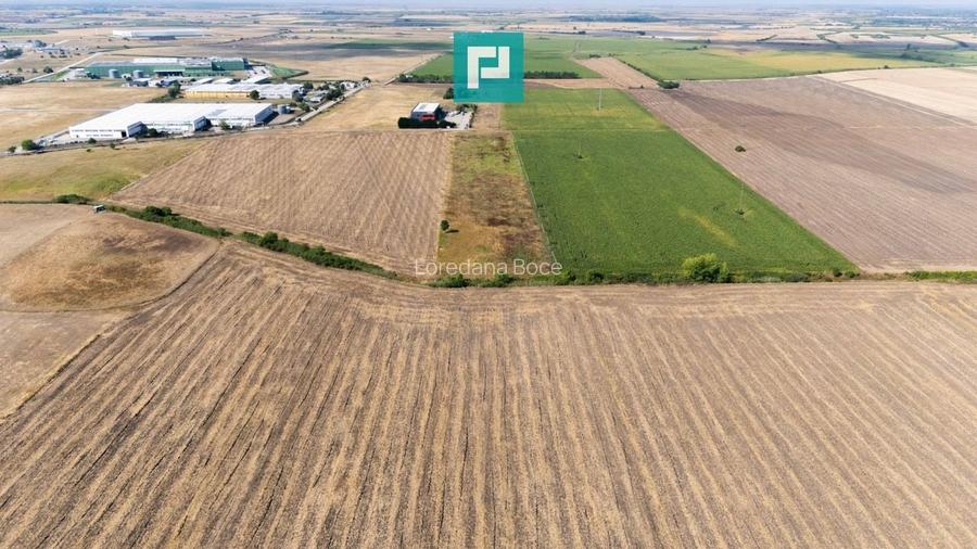Oportunitate! Teren 4.345 mp - Șagului