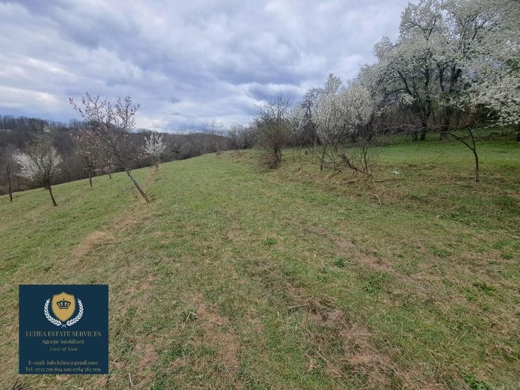 Teren construcții 25428 mp! Reșița, Calea Timișorii. - 3