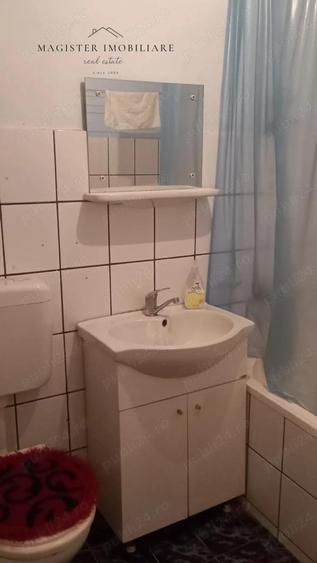 Apartament 1 camera Lunca Resita - 4