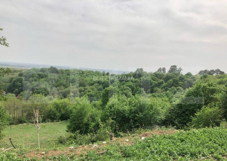 Teren intravilan, parcelat 7600+5700+1400, Manastirea Dealu