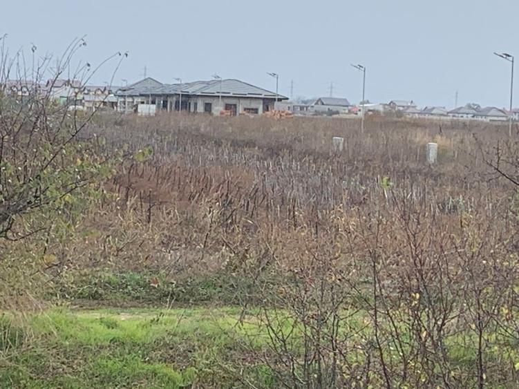 Teren Sabareni linga padure 10 minute pina in Bucuresti - 8