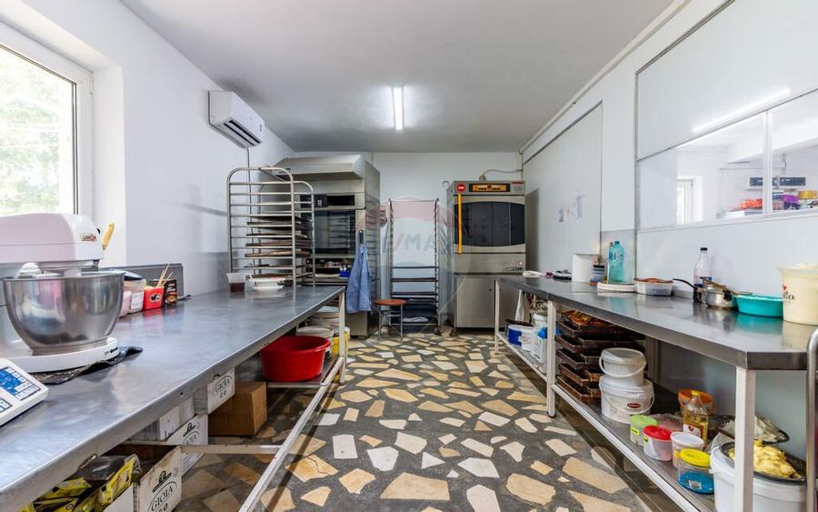 Casa+Laborator+ Teren 12.700 mp + casa de vacanta - Bolin... - 20