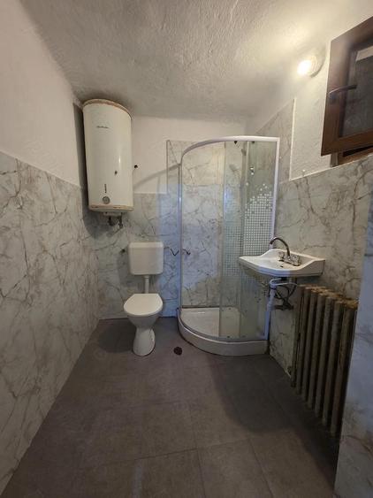 Casa de vanzare in comuna Calnic - 4