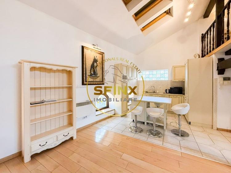 Vila eclectica individuala, curte proprie zona Armeneasca - 18