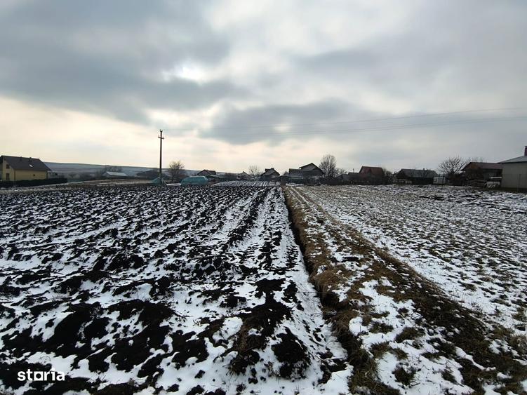 Teren 991 MP | Moara Nica | 22 ml Deschidere | Utilitati | 38.000 - 2