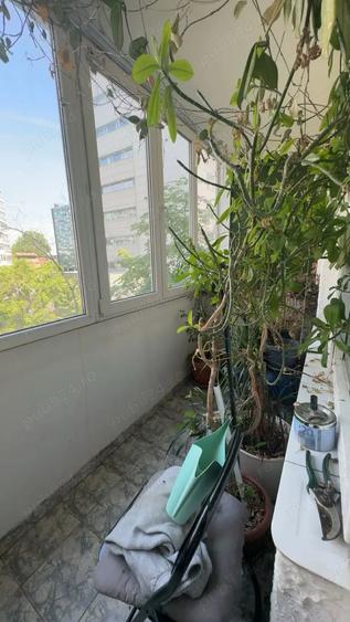 Apartament 4 camere Bucuresti bdul Titulescu - 8