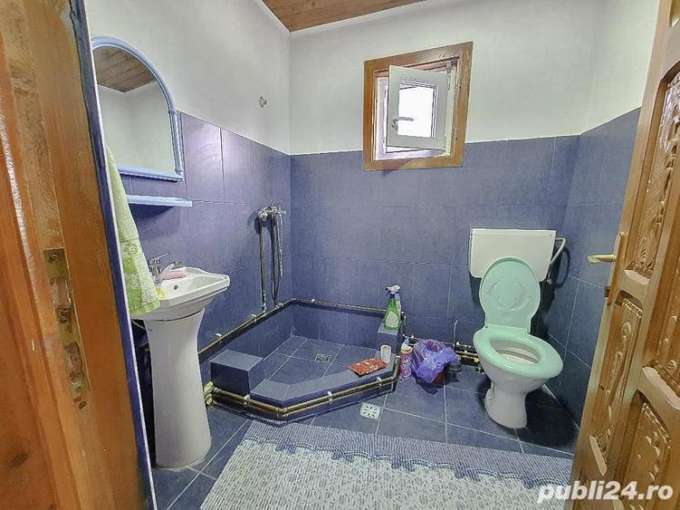 Casa Costesti Arges - 10