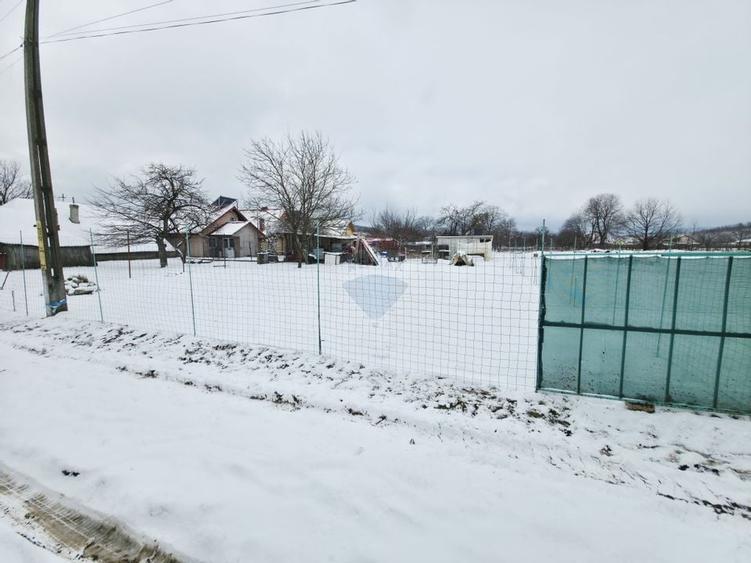 Teren 325mp Dobreni / Strada LASCAR CATARGIU - 5