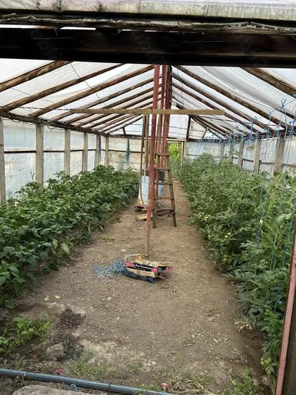 Casa Lacu Sarat Brailei - 10