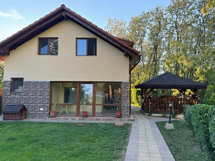 Vand casa in Lugojel - 1