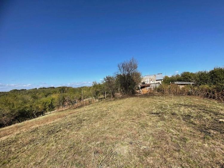 Teren Construcții intravilan de 5000 mp, în Băbana