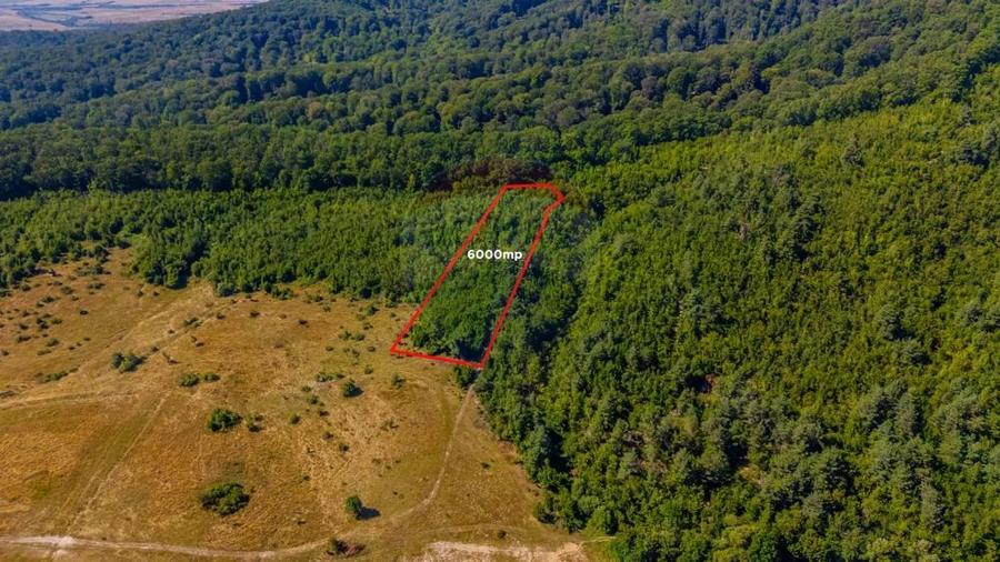 Teren 6,000mp Crizbav / Strada principala - 1