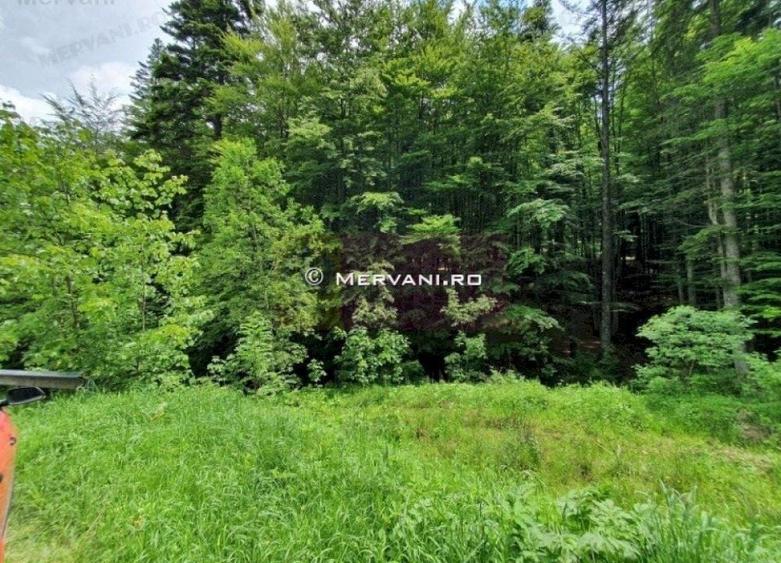 Teren intravilan de vanzare in Sinaia - Zona Furnica - 5