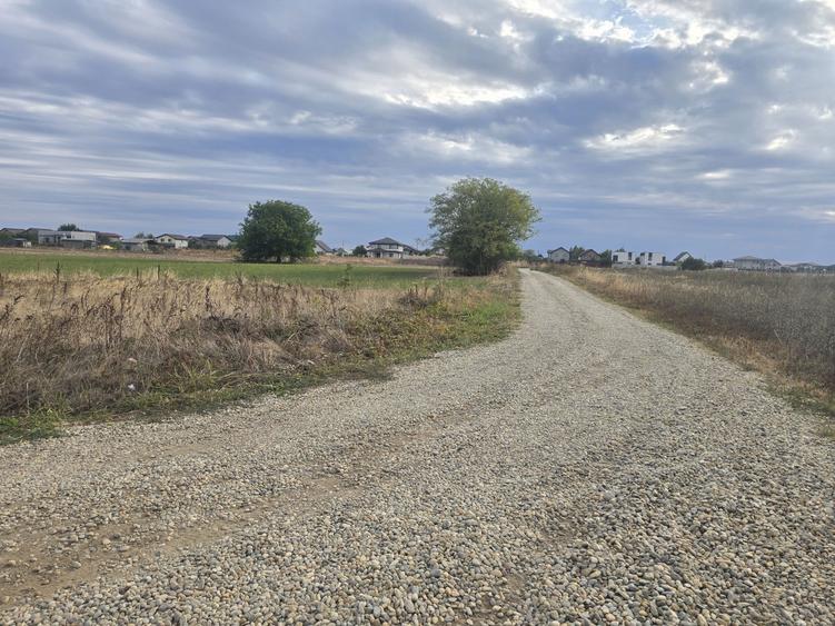 Vand teren Comuna Berceni ilfov - 5