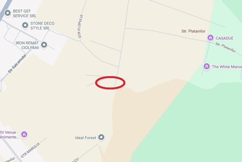 Snagov-Ciofliceni, langa padure, constructii in apropiere, liber - 1