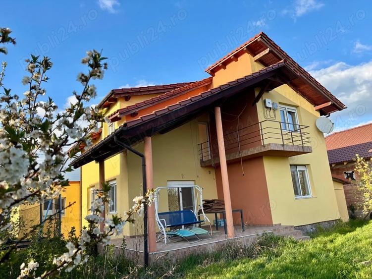 Casa Sinandrei Timis - 1