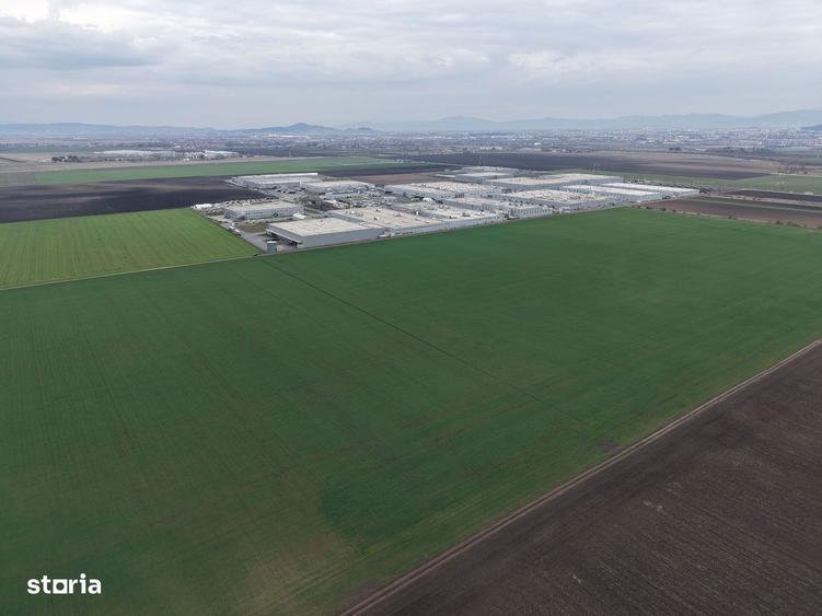 Teren de vanzare 20.000mp Ghimbav, langa Parcul Industrial - 7