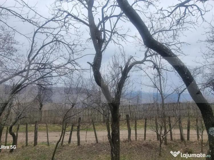 TEREN INTRAVILAN VEDERE PANORAMICA La 2 km de Manastirea CRA - 6