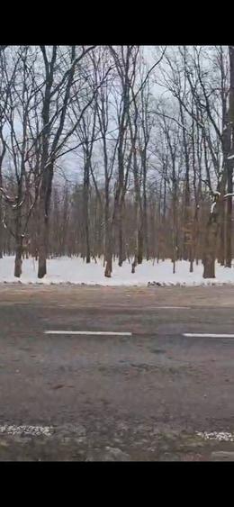 Teren langa sosea - 1