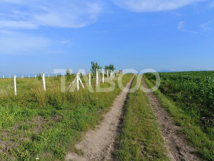 Teren 5000 mp in apropiere de case in Sura Mica - pretabil investitie