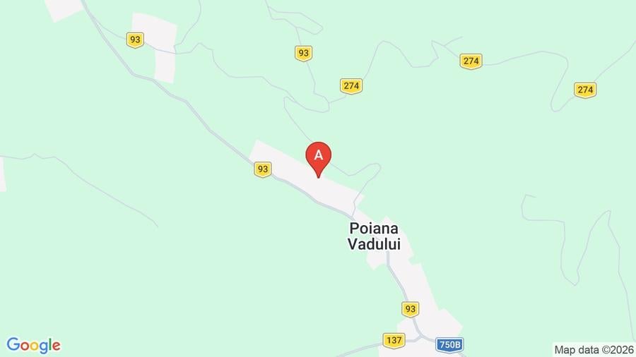 Teren de vânzare în zona de munte - 1