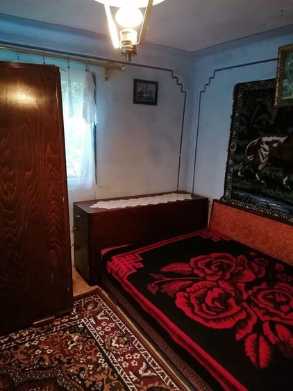 VAND CASA BATRANEASCA, 3,1 HA IN JURUL CASEI, COM.CETATENI - 4