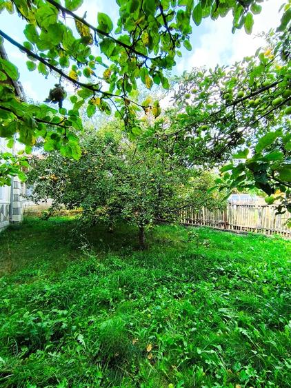 Casa spatioasa 8 camere+cladire auxiliara pretabil locuinta sau afacere+magazin - 7