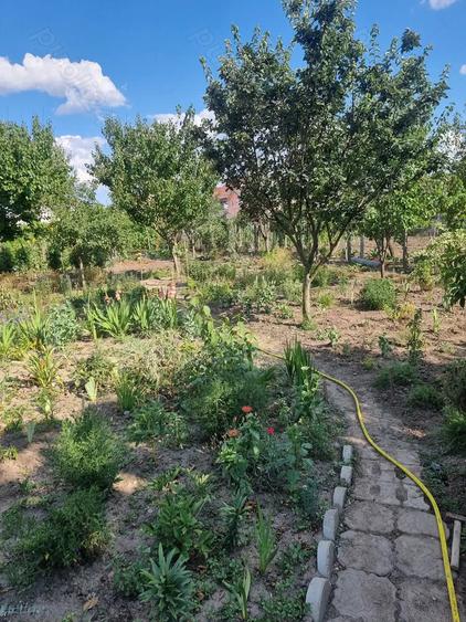 Casa de vanzare cu gradina mare in Covaci. - 6